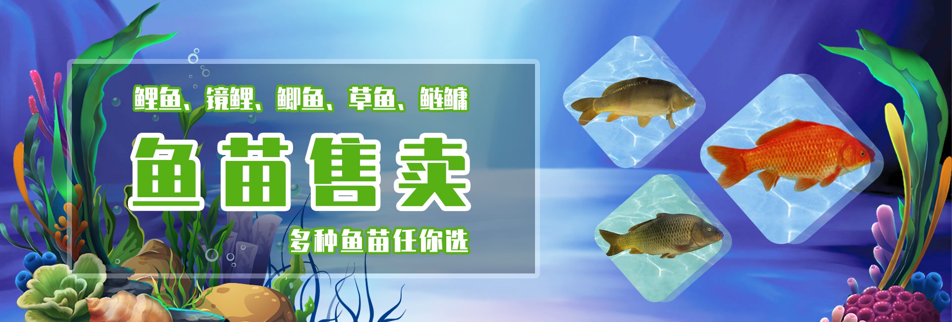&#20048;&#31454;&#32593;&#39029;&#29256;&#30331;&#24405;&#20837;&#21475;&#45;&#20048;&#31454;&#40;&#20013;&#22269;&#41;