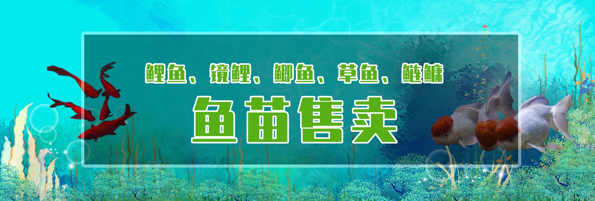 &#20048;&#31454;&#32593;&#39029;&#29256;&#30331;&#24405;&#20837;&#21475;&#45;&#20048;&#31454;&#40;&#20013;&#22269;&#41;