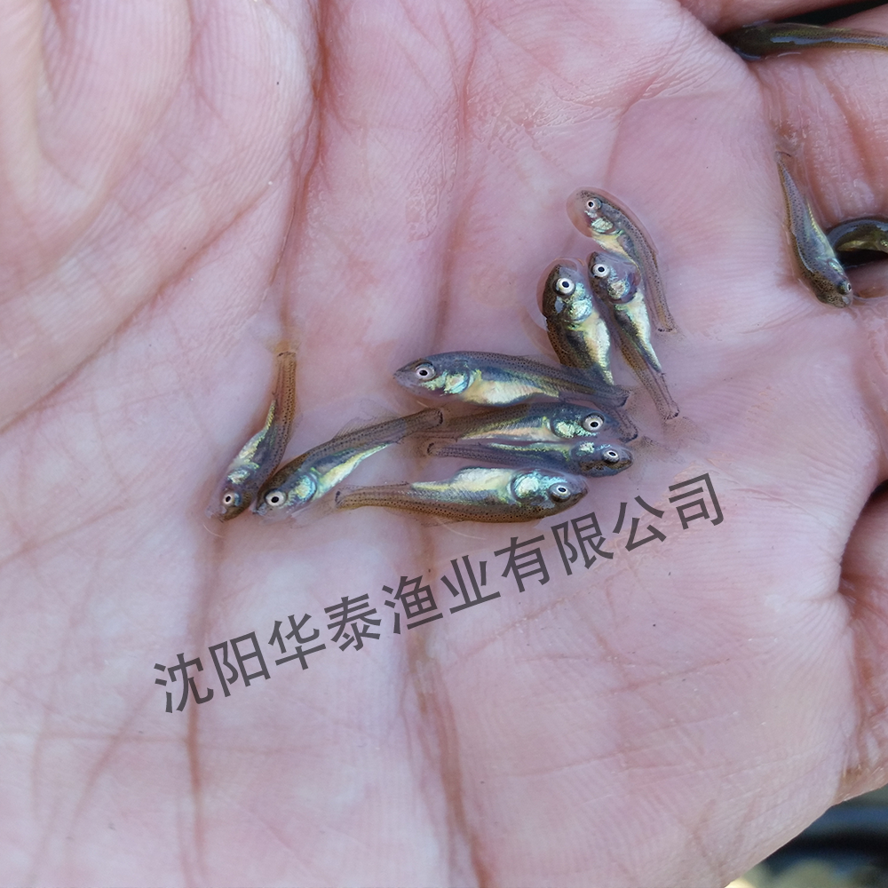 &#20048;&#31454;&#32593;&#39029;&#29256;&#30331;&#24405;&#20837;&#21475;&#45;&#20048;&#31454;&#40;&#20013;&#22269;&#41;