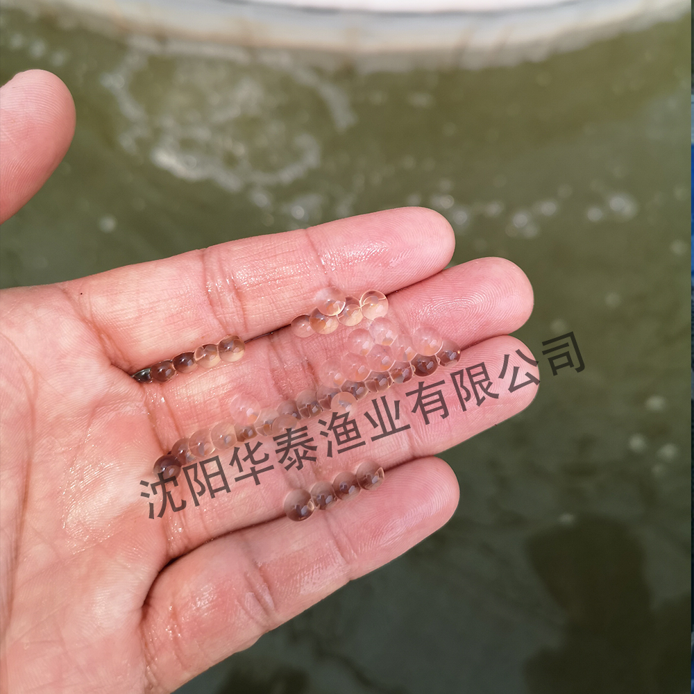 &#20048;&#31454;&#32593;&#39029;&#29256;&#30331;&#24405;&#20837;&#21475;&#45;&#20048;&#31454;&#40;&#20013;&#22269;&#41;