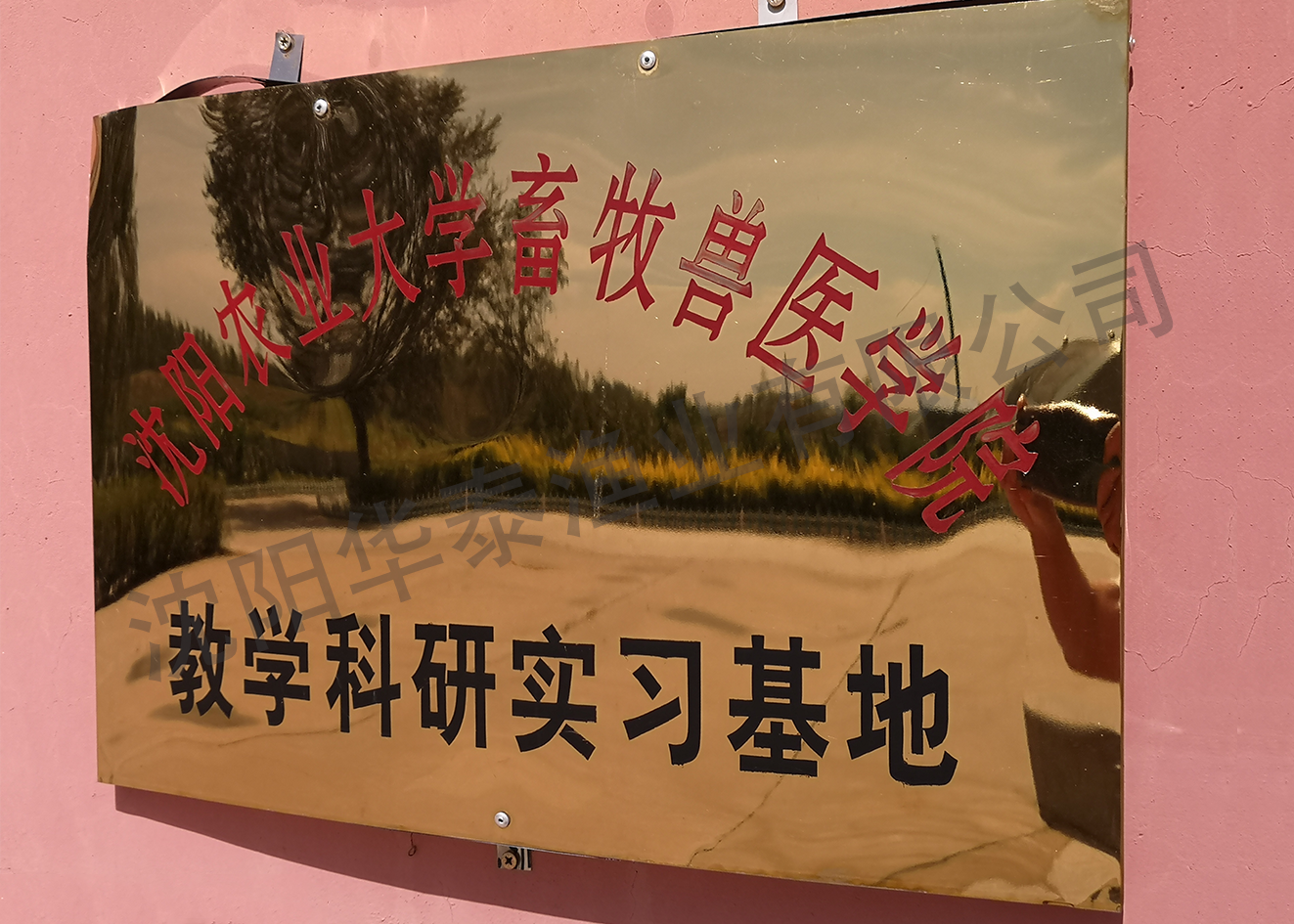 &#20048;&#31454;&#32593;&#39029;&#29256;&#30331;&#24405;&#20837;&#21475;&#45;&#20048;&#31454;&#40;&#20013;&#22269;&#41;