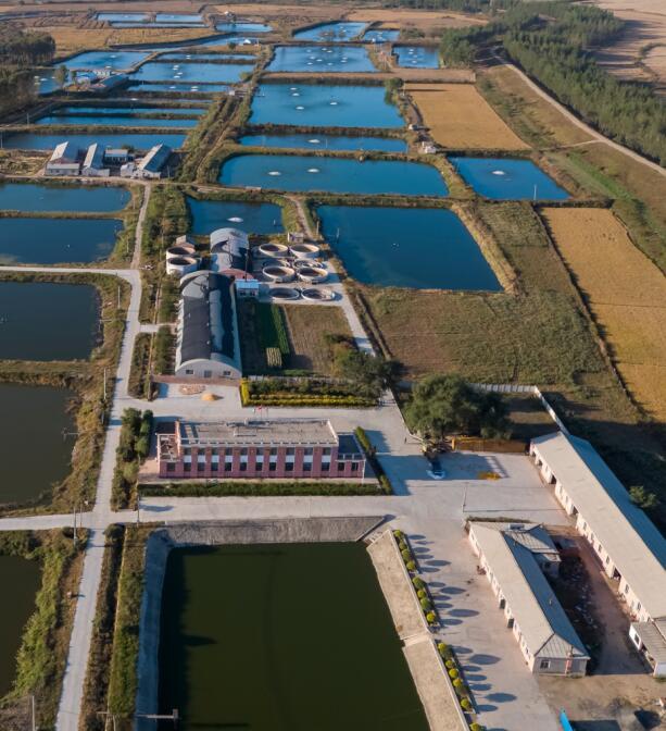 乐竞网页版登录入口-乐竞(中国)